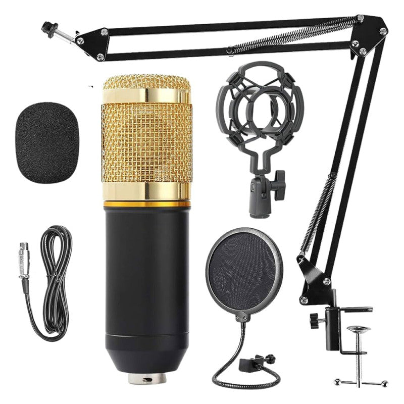 Kit de microfono profesional + Filtro